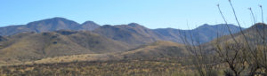 Wyoming Landscape