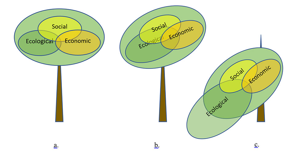 3 Venn Diagrams on Fulcrums