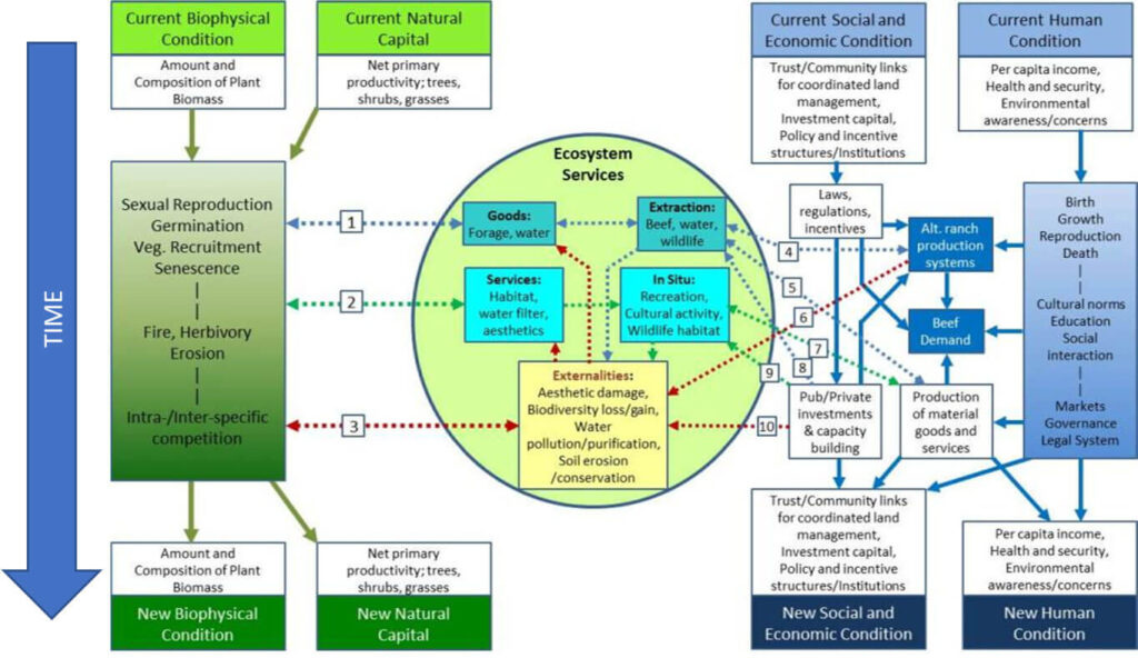 Future Assessment Graph