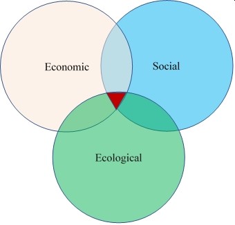 Venn Diagram